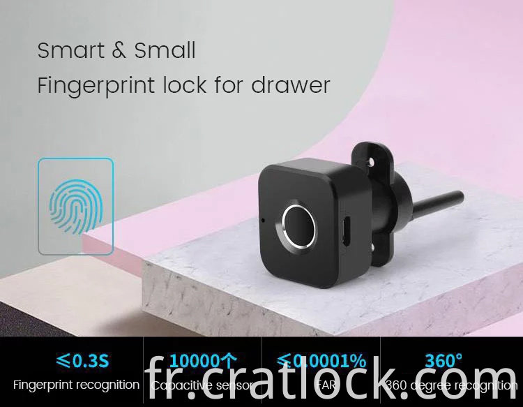 Mini Smart Fingerprint Cabinet Lock